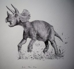 Triceratops A5